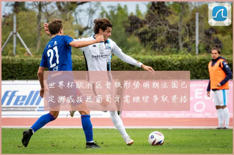 世界杯欧洲区晋级形势明朗法国已定挪威接近葡萄牙需继续争取资格